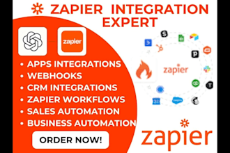 setup zapier webhook, zapier automation, zapier integration, API expert