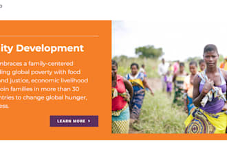 do non profit website charity website 501c3 donation website nonprofit website