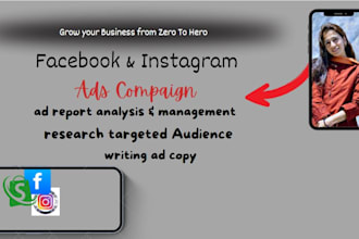 be your agency facebook and instagram ads manager