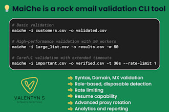 build an enterprise email validation cli tool