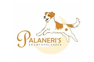 design good looking amazing dog care salon logo