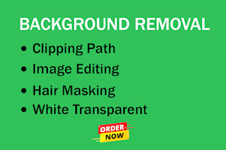 do remove background from image clipping path with express delivery 24 hours