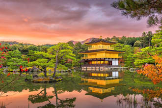 create a custom travel itinerary for your trip to japan