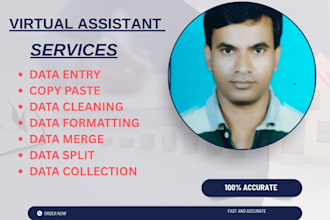 clean, analysis, split, marge excel data, data entry
