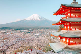 create a custom travel itinerary for your trip to japan