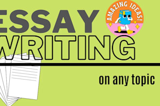 write marketing, business, finance, and accounting essays