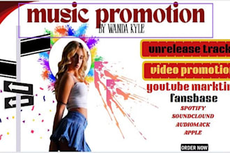 do professional spotify music promotion