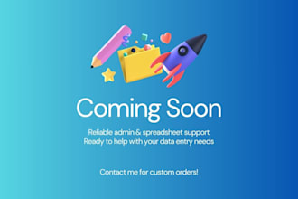 do manual data entry and clean up spreadsheets