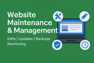 be your wordpress website manager for updates and maintenance