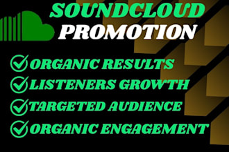 promote your music on soundcloud, spotify, apple music and blogs