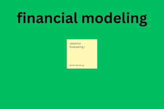 build custom financial models ,projections and forecast for smes and start ups