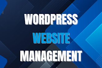 provide maintenance and support for your wordpress website