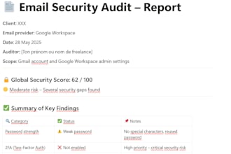 perform a professional email security audit