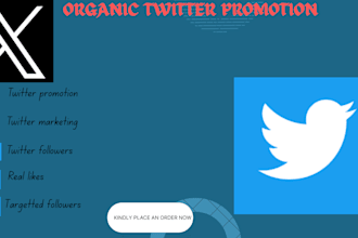 do professional twitter promotion to reach your targeted audience