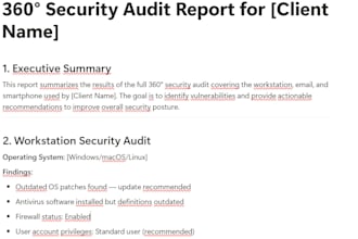 deliver a full 360 security audit for freelancers
