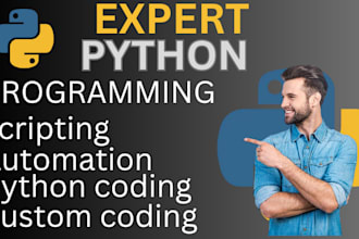 do expert python programming, automation scripting and custom coding solution