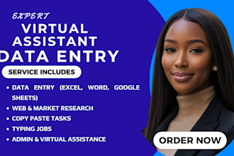 do fast data entry, web research, excel, typing, copy paste, VA admin support