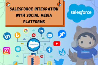 integrate social media leads with salesforce CRM