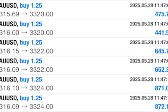 setup trading bot, forex trading bot, forex robot, forex bot, trading bot