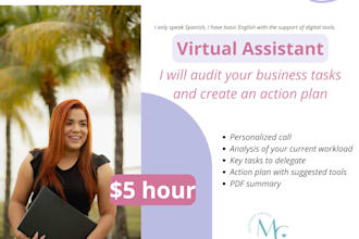 be your VA for task audit and action plan