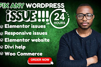 fix wordpress issues wordpress bug fix woocommerce fix