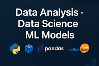 do data analysis and build ml models