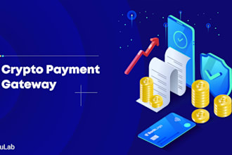 integrate crypto payment gateway shopify payment gateway stripe braintree venom