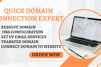 resolve domain dns issues, connect domain to website, and set up email
