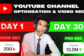 do youtube SEO and rank videos organically