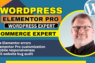 fix elementor, wordpress bugs, responsive issues, header footer errors fast