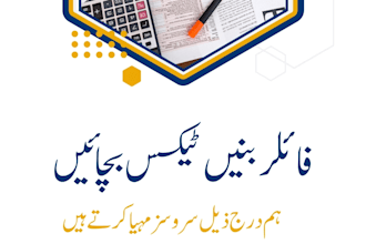file your income tax and sales tax returns in iris fbr pra