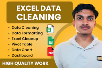 do excel data cleaning, merging, formatting and pivot table