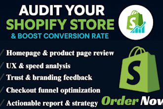 audit your shopify store review conversion rate website review analysis report