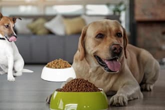 do safe pet care and pet food and supplement formulation