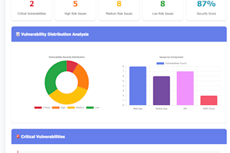 do your web, app, api vapt and AWS infra security audit