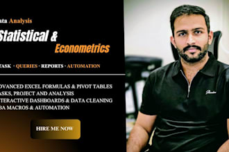 do help with assignments, excel statistical data analysis, tasks, econometrics