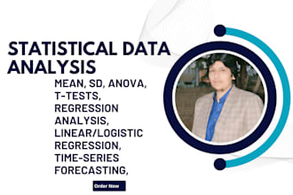 do help with assignments, excel statistical data analysis, tasks, econometrics