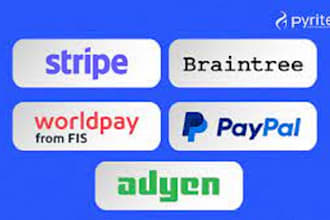 make high risk payment processor, paypal business account, wise, skrill, stripe