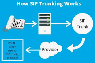 do did number,sip user, sip routes and sip trunks for USA spoof api
