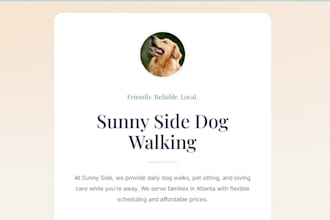 create a professional one page website