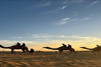 plan your perfect india trip with full travel arrangements
