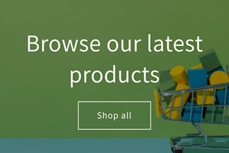build and manage a professional shopify store for your brand