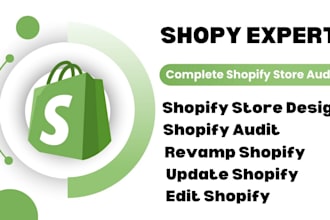 audit shopify store provide detailed reports to increase shopify conversion rate