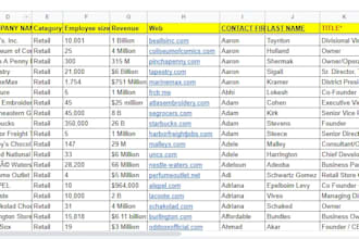 professionally clean, format and organize excel data