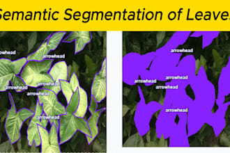 computer vision, ocr, segmentation, object detection and tracking