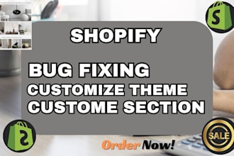 do shopify store customization edit or fix theme issue and store audit