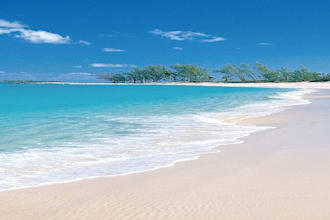 plan your perfect india trip with full travel arrangements