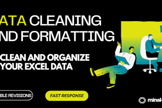 do excel data entry, clean and organize spreadsheets or CSV files