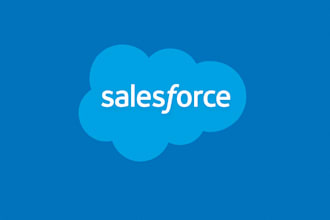 develop salesforce application for you