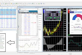 program a powerful indicator, mt4, mt5, forex bot , forex eas, expert advisor
